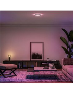 Plafón de techo LED inteligente redondo S HUE SLIM CEILING negro, 16,6W 2250Lm,  2000-6500 Hue White Color Ambiance Ø29,1cm 2