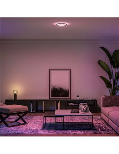 Plafón de techo LED inteligente redondo S HUE SLIM CEILING negro, 16,6W 2250Lm,  2000-6500 Hue White Color Ambiance Ø29,1cm