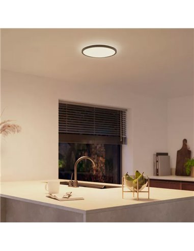 Plafón de techo LED inteligente redondo S HUE SLIM CEILING negro, 16,6W 2250Lm,  2000-6500 Hue White Color Ambiance Ø29,1cm