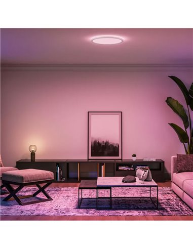 Plafón de techo LED inteligente redondo XL TENTO HUE SLIM CEILING blanco, 25W 3500Lm,  2000-6500 Hue White Color Ambiance Ø54,2c