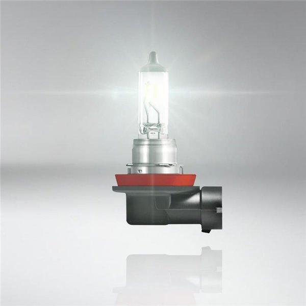 Bombilla halógena H11 TRUCKSTAR PRO 24V +120%, 70W 1600Lm, 3200K