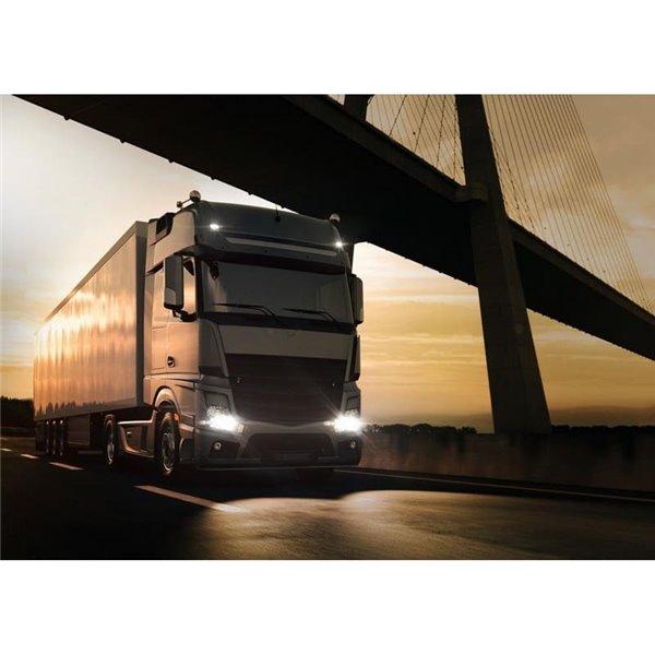 Lâmpada halógena H11 TRUCKSTAR PRO 24V +120%, 70W 1600lm, 3200K