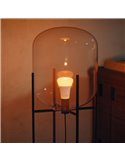 Pack 2 bombillas LES inteligentes Hue E27 A60, 810Lm, 6W equivalente 60W, regulable, White & Color Ambiance