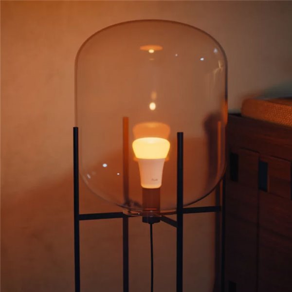 Lot de 2 ampoules LED intelligentes Hue E27 A60, 810 lm, 6 W équivalent à 60 W, dimmables, blanc et ambiance couleur