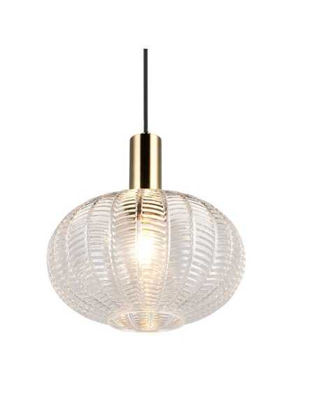 Lámpara colgante de techo ELVEZIA pantalla de vidrio transparente bombilla excl. 1xE27 max. 10W IP20