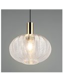 Lámpara colgante de techo ELVEZIA pantalla de vidrio transparente bombilla excl. 1xE27 max. 10W IP20