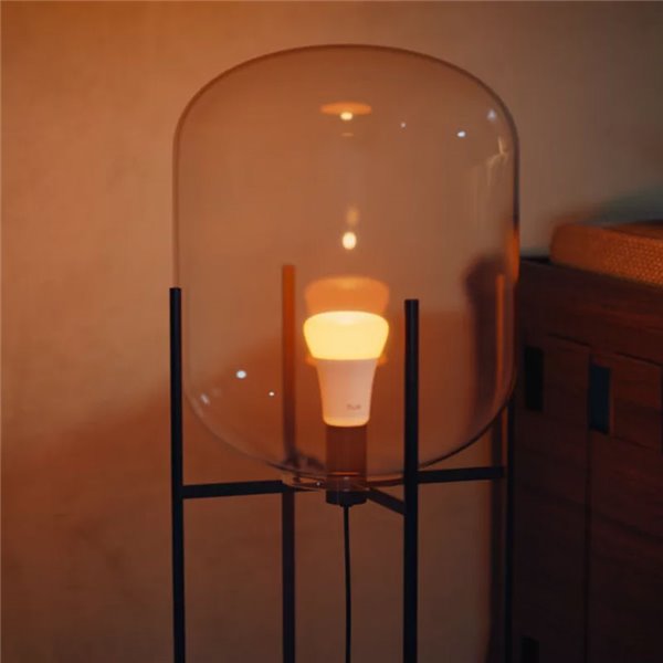 Ampoule LED intelligente Hue E27 A67 1600 lm, 11,8 W (équivalent 100 W), dimmable, blanc et ambiance couleur