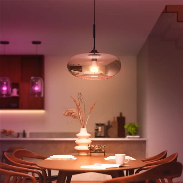 Lâmpada LED inteligente Hue E27 A67 1600 lúmens, 11,8 W (equivalente a 100 W), regulável, luz branca e colorida.