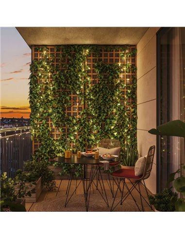 Guirlande lumineuse LED intelligente WiZ FAIRY LIGHT 20 m, couleurs variées 2700 - 5000 K + RGB, 160 LED, IP44