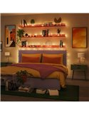 Guirnalda de luces LED inteligente WiZ 20m FAIRY LIGHT, a todo color 2700 - 5000 +RGB, 160 LED, IP44