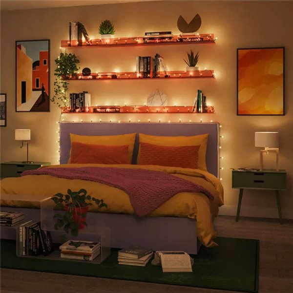 Guirlande lumineuse LED intelligente WiZ FAIRY LIGHT 20 m, couleurs variées 2700 - 5000 K + RGB, 160 LED, IP44