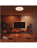 Plafonnier LED rond à intensité variable FROZEN Ø39cm, 45W 5220Lm, CTT 2700K-5000K, blanc avec télécommande