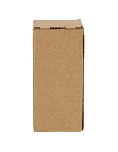 Guirnalda de luces 100 LED con caja de música 10m, blanco cálido, pilas 3AA, IP44