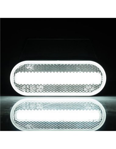 Neon LED frontal oval Galibo LD 2770 12/24V homologado IA A IP68 branco
