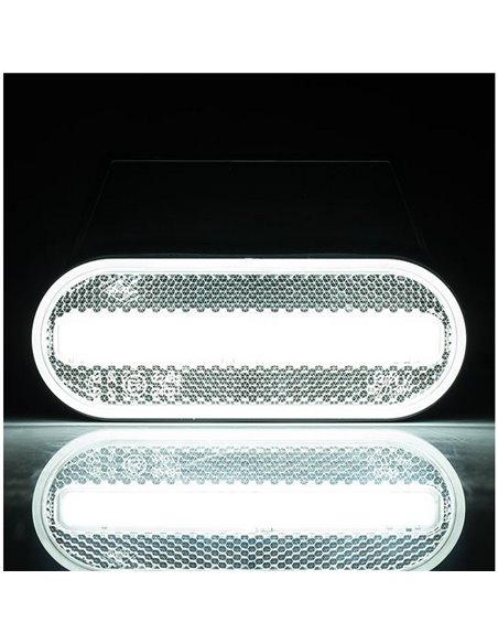 Néon ovale frontal à LED Galibo LD 2773 12/24 V, homologué IA à IP68, avec pied blanc