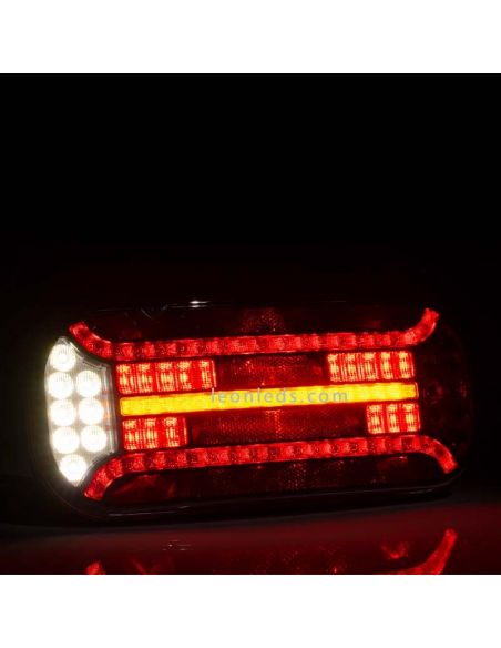Piloto trasero LED con triángulo e intermitente progresivo con luz de matricula inferior 12V/24V R1 S1 2a AR F1 IIA L