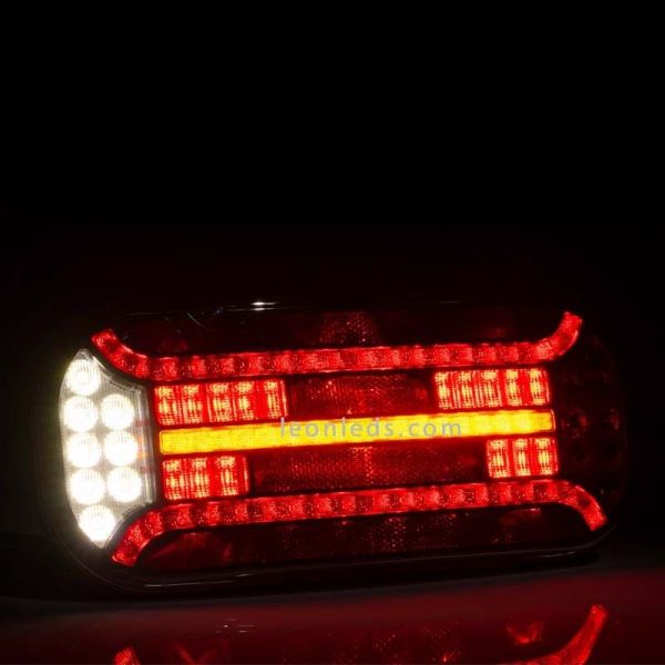 Piloto trasero LED con triángulo e intermitente progresivo con luz de matricula inferior 12V/24V R1 S1 2a AR F1 IIA L