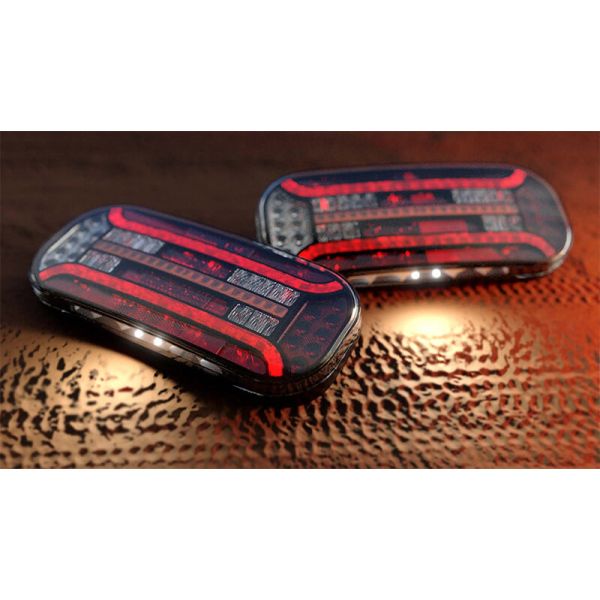 Lanterna traseira de LED com triângulo e pisca progressivo com luz de placa inferior 12V/24V R1 S1 2a AR F1 IIA L