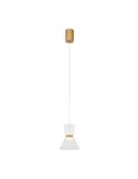 Lámpara colgante LED NEW YORK, 3000K 6W 960Lm, oro con tulipas transparentes