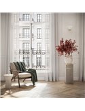 Aplique LED de pared NEW YORK, SIMPLE, oro con tulipa transparente 5W 740Lm, 3000K 
