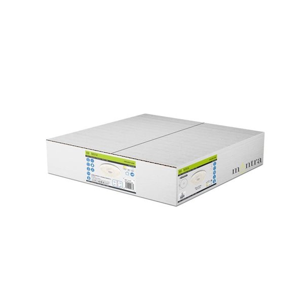 Luminária de teto LED redonda FROZEN, dimerizável, Ø39cm, 45W 5220lm, CTT 2700K-5000K, branca, com controle remoto.