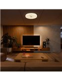 Plafonnier LED rond à intensité variable FROZEN Ø48cm, 45W 5220Lm, CTT 2700K-5000K, blanc avec télécommande