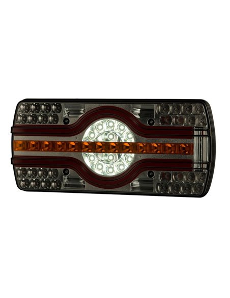LZD 2541-2542 Lanterna traseira de 6 funções, luz inferior da placa de matrícula R4-R6-R7-R23-R38 12/24V IP68