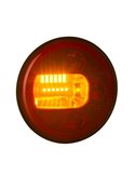 Piloto trasero LED LUNA LZD 2446 / 2447con posición neón, freno e intermitente neon 12/24V IP68 E9 ECE R06/R07