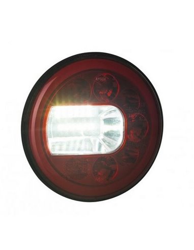 Feu arrière néon LED LUNA LZD 2450 / LZD 2451 avec feux de position, antibrouillard et de recul 12/24 V IP68