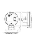 Piloto trasero LED Neon LUNA LZD 2450 / LZD 2451 con posición, antiniebla y marcha atrás 12/24V IP68