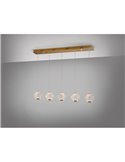Lámpara de techo AUSTRAL 5 luces, tulipas cristal tallado, LED 26W 1264 lm Oro