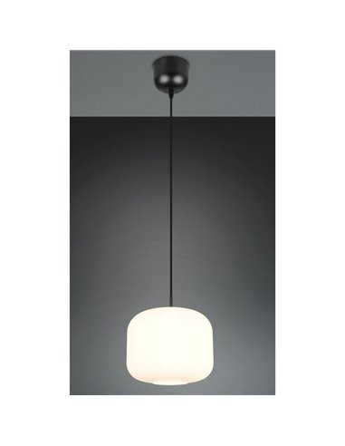 Luminária de teto grande SIGNE Ø25cm, cúpula de vidro E14 (não inclusa), potência máxima de 14W, IP20, branca.