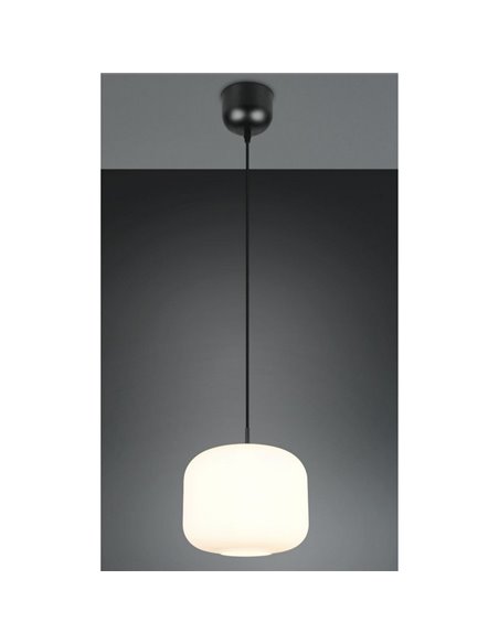 Luminária de teto grande SIGNE Ø25cm, cúpula de vidro E14 (não inclusa), potência máxima de 14W, IP20, branca.