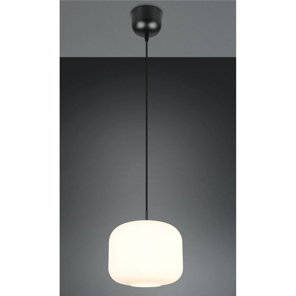 Grand plafonnier SIGNE Ø25cm, abat-jour en verre E14 (hors ampoules), puissance max. 14W, IP20, blanc