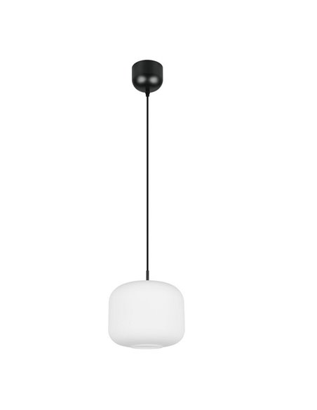 Luminária de teto grande SIGNE Ø25cm, cúpula de vidro E14 (não inclusa), potência máxima de 14W, IP20, branca.