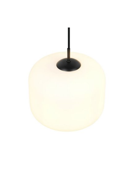 Lámpara de techo SIGNE grande Ø25cm, pantalla de vidrio E14 excl. max 14W IP20 Blanco