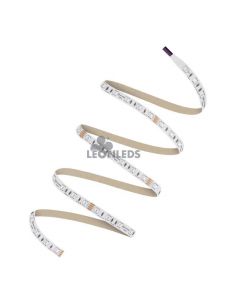 Tira LED RGB 24V IP65/IP20 Value RGB-500 – 5m de luz multicolor, corte 10 cm 2