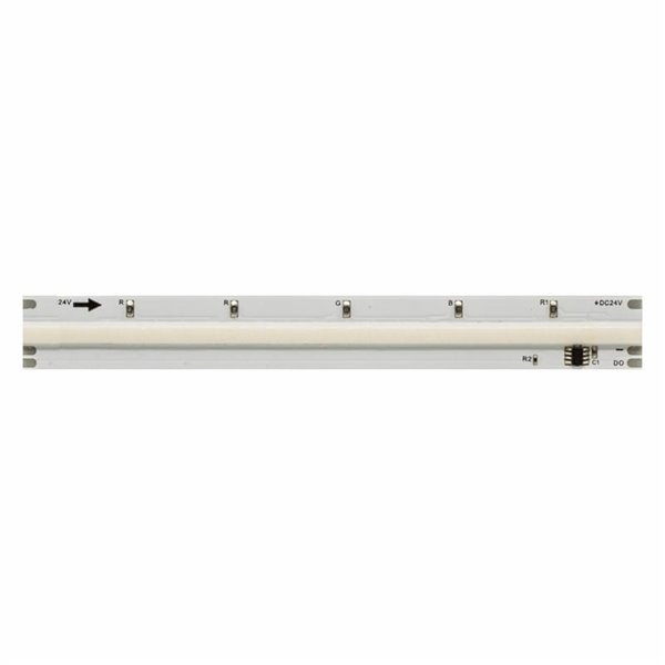 Fita de LED com tecnologia SPI, rolo de 5 metros, FINE RUNNING, 24VDC, 12W/m, 950/1050Lm, cor única 2700K/3000K/4000K, IP20