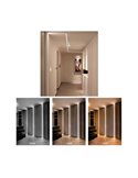 Tira LED con tecnología SPI rollo 5 metros FINE RUNNING 24VDC 12W/m 950/1050Lm, monocolor 2700K/3000K/4000K IP20