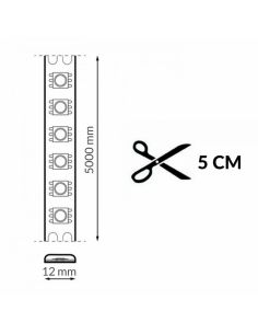 Bande LED COB TIPS RGBIC numérique, 24V, 21W/m, IP20, 5 mètres, lumière multicolore continue. 2