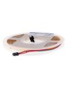 Tira LED COB TIPS digital 24V blanco fijo 12W/m IP20 5 metros, luz continua por segmentos, 3000K/4000K/6000K