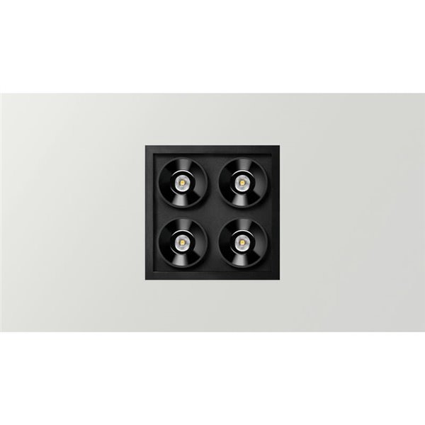 Spot encastré carré LED BLACK FOSTER REC 2X2 SPOT 19º, 2700K/3000K/4000K, couleurs variées, gradable/non gradable