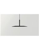 Lámpara techo LED colgante ZENIT Base negro 8W DALI luz directa e indirecta 2700K/3000K, diseño minimalista