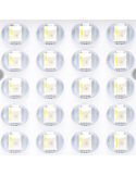 Chip Proyector Solar LED RGB 50W con Panel 2m – IP66 Exterior con Mando
