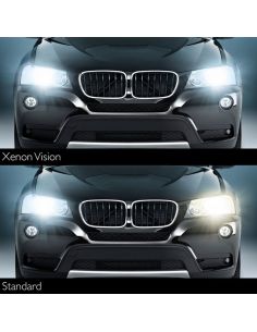 Lâmpada de xenônio Vision D1R 85V 35W PK32d-3, substituição 2