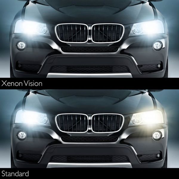 Lâmpada de xenônio Vision D1R 85V 35W PK32d-3, substituição