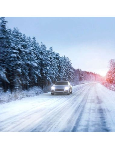 Ampoules H4 lumière plus blanche...