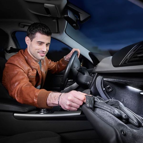 Bombilla LED PHILIPS FESTOON -38mm- 6000K Stylish bright interior light 12V