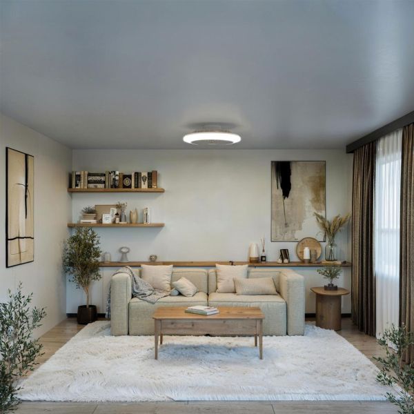 Plafón ventilador LED de techo AMIGO RGB 50cm 40W+20W CCT regulable + RGB mando IP20