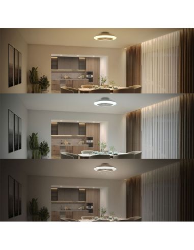 Plafón ventilador LED AMIGO Cielo Estrellado 49cm 42W+20W 4400lm CCT regulable mando IP20